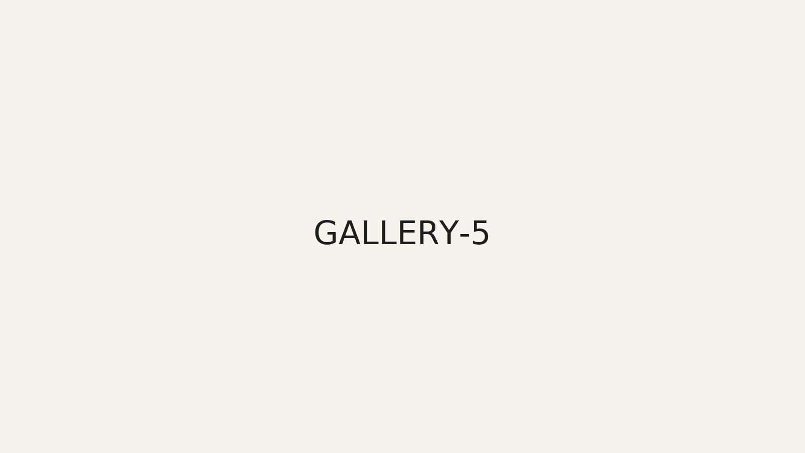 Gallery photo 5